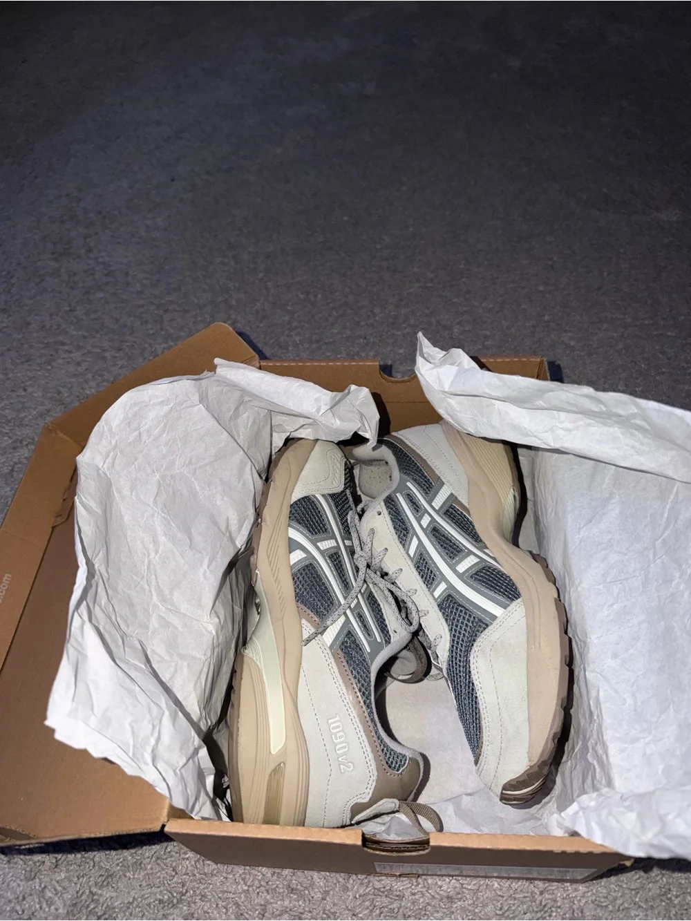 Asics gel 1090v2