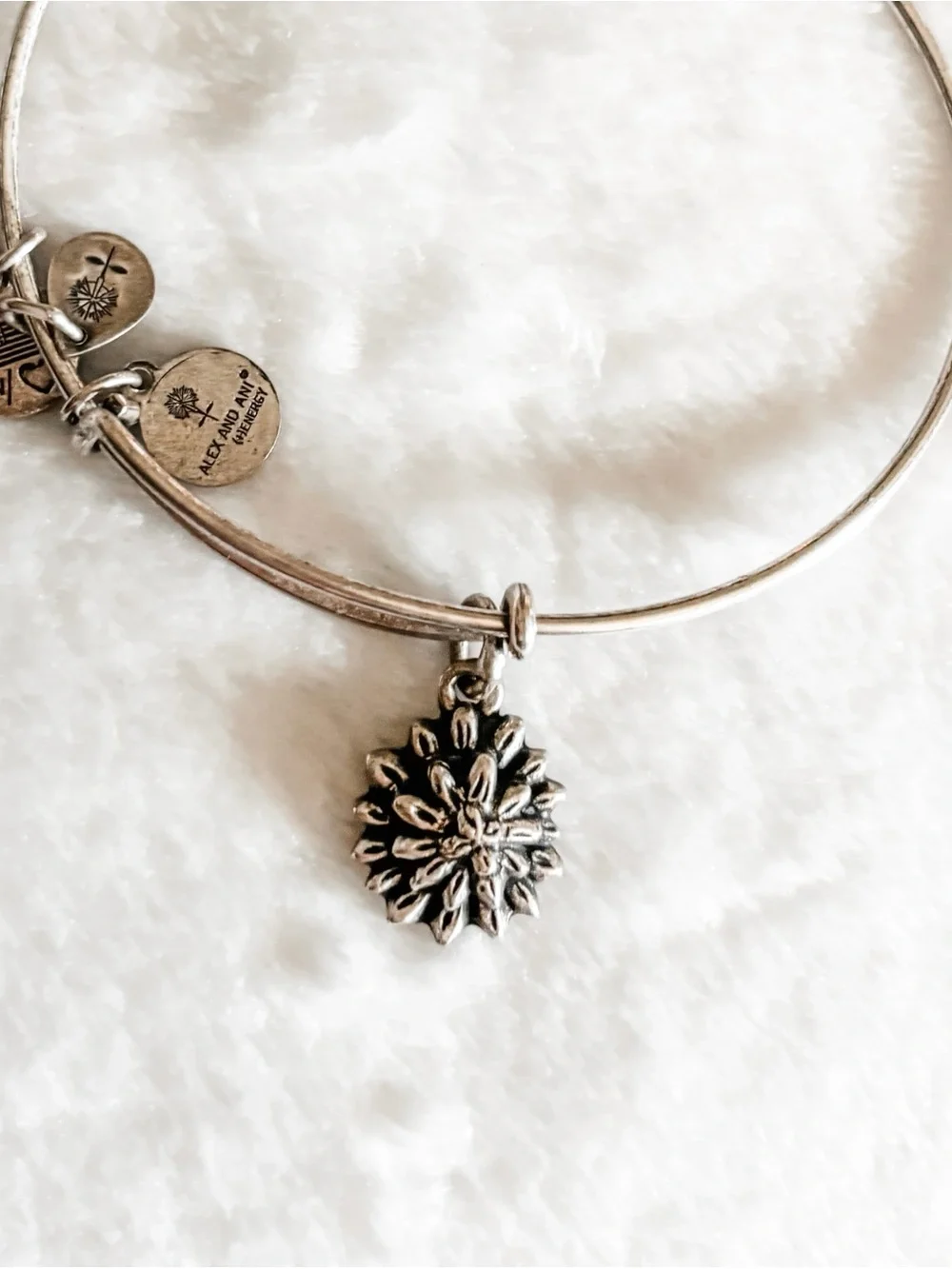 Alex and Ani alex ani