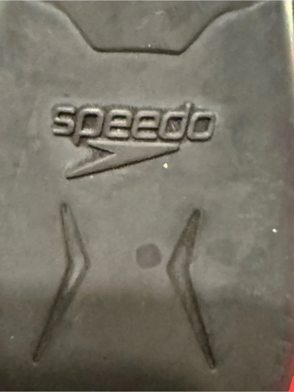 Speedo ❤️ training