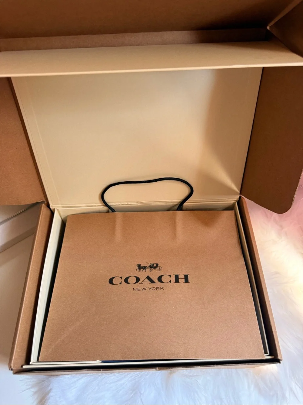 Coach light blue