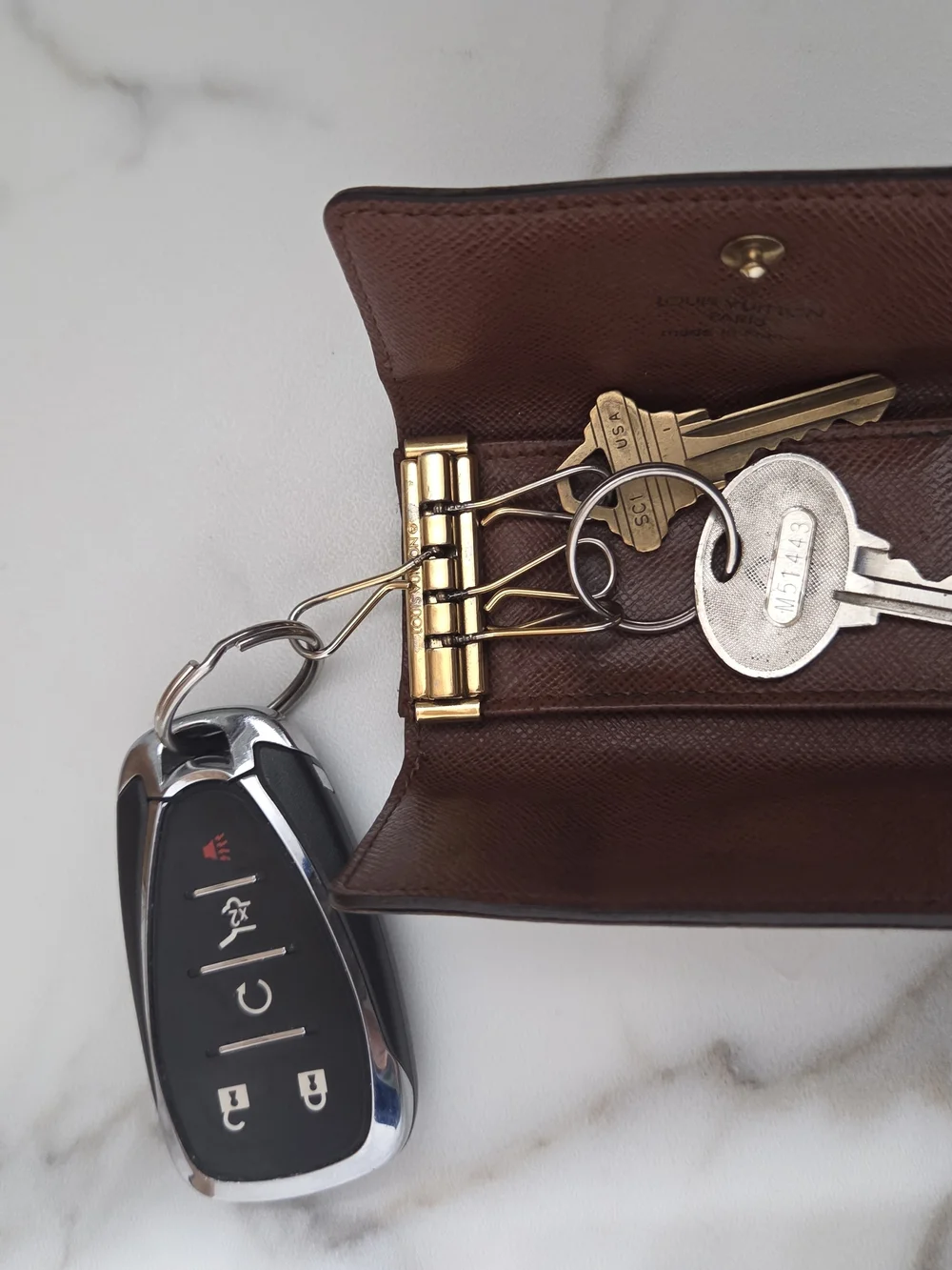 Louis Vuitton authentic louis