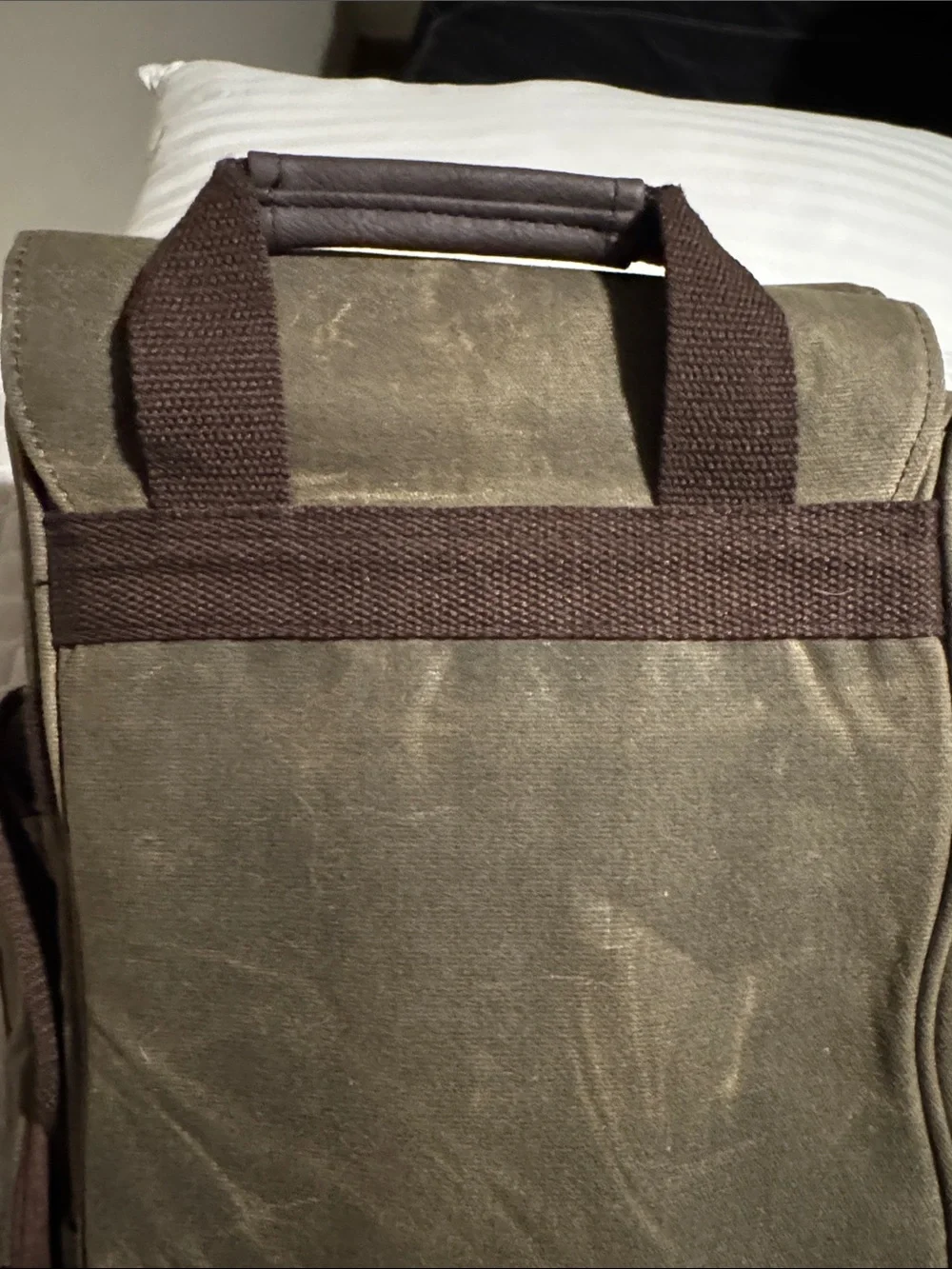 Legacy durable olive