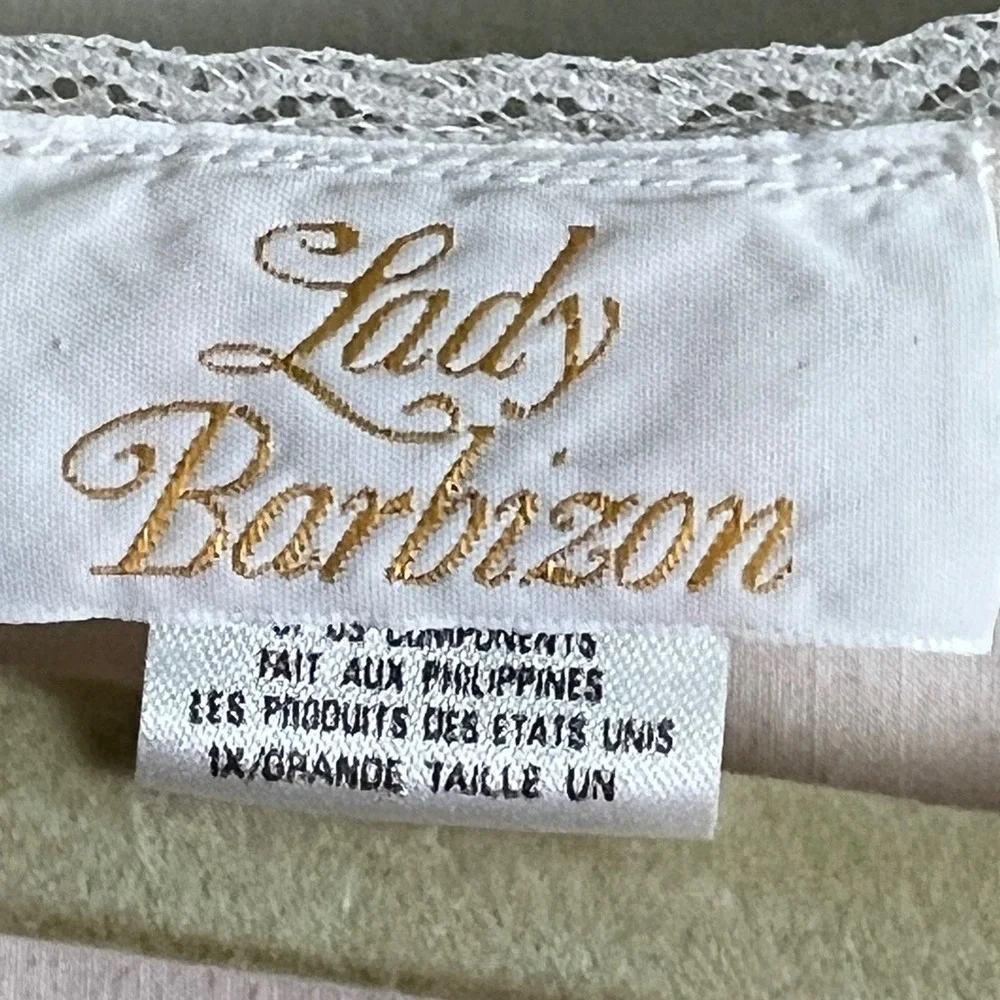 Lady Barbizon type gown