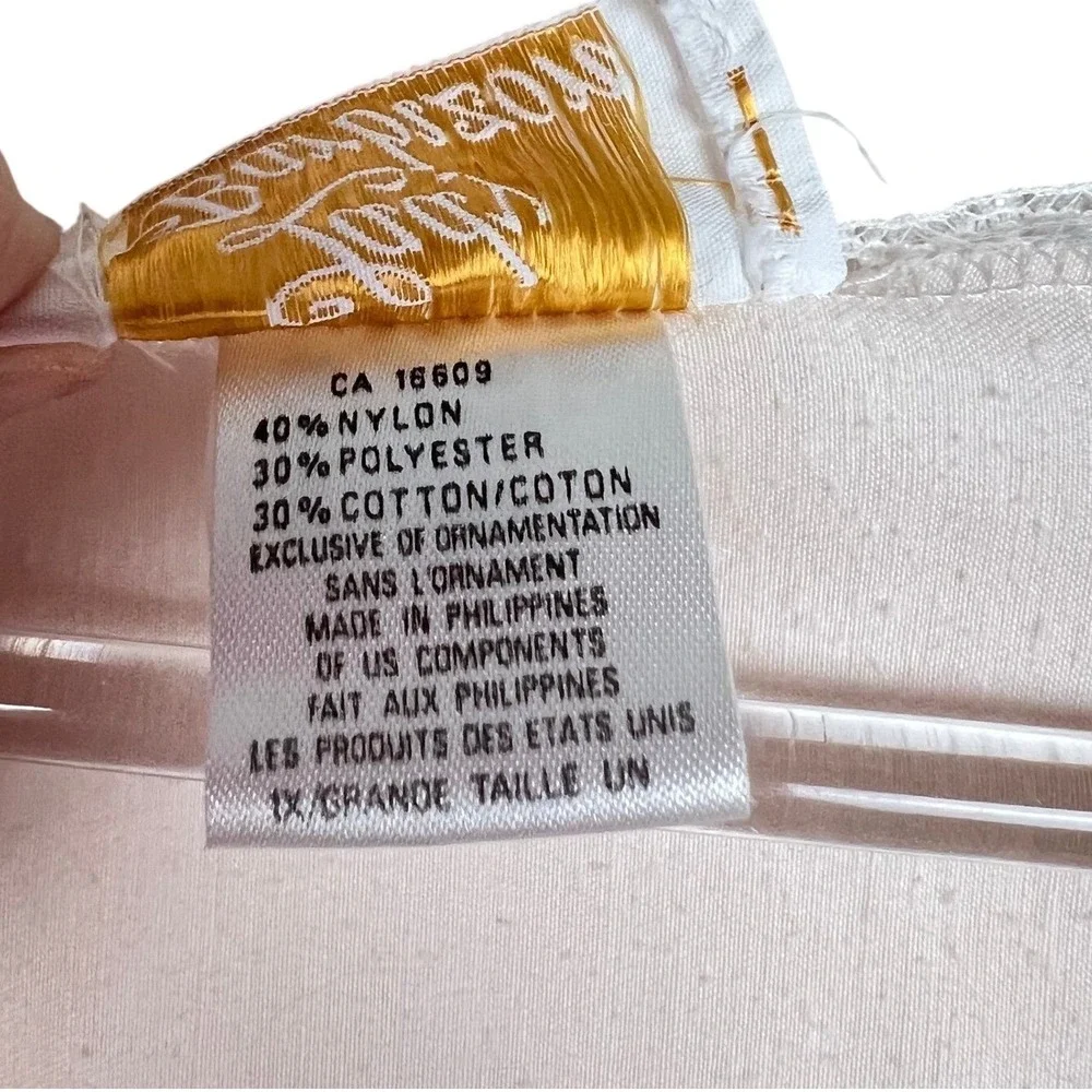 Lady Barbizon type gown