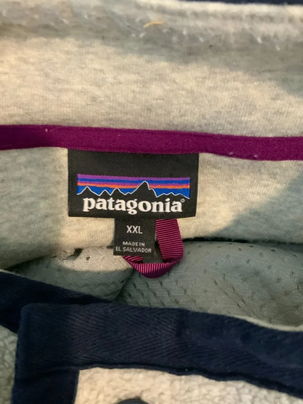 Patagonia men fleece