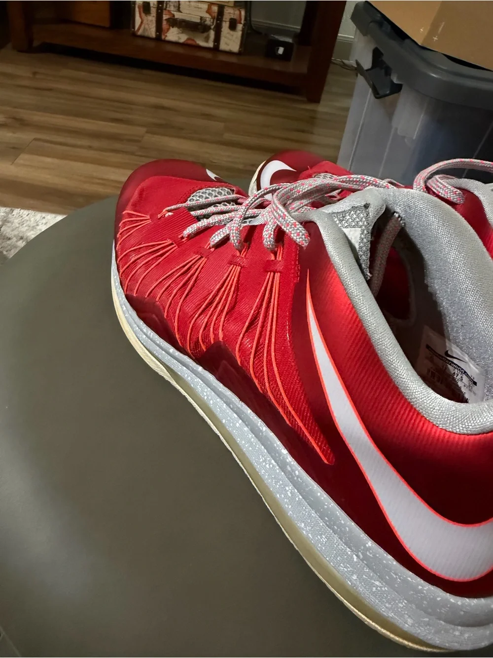 Nike lebron low