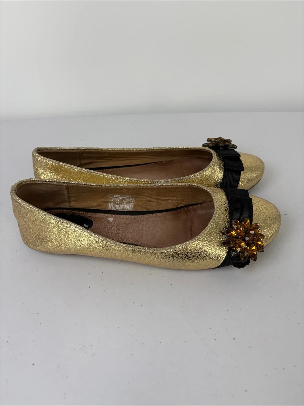 Fossil gold metallic