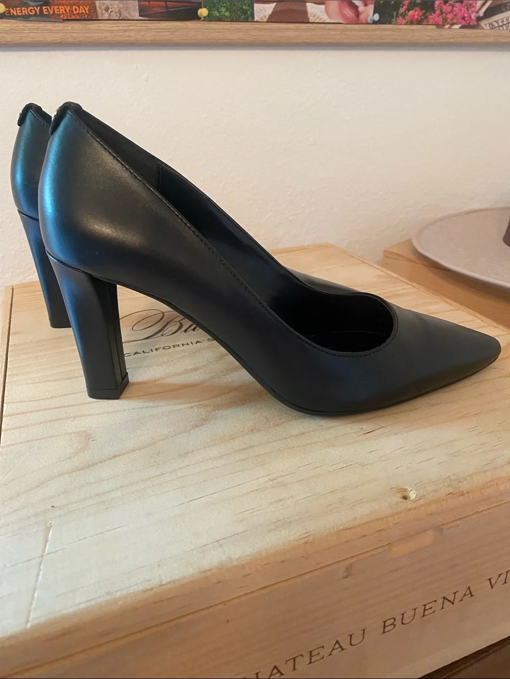 Michael Kors sleek pointed