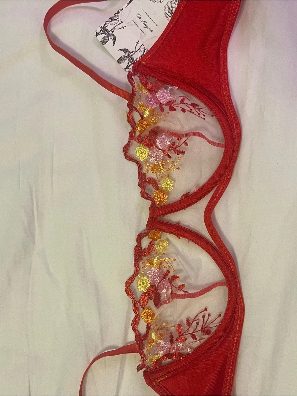 Dolls Kill sheer embroidered