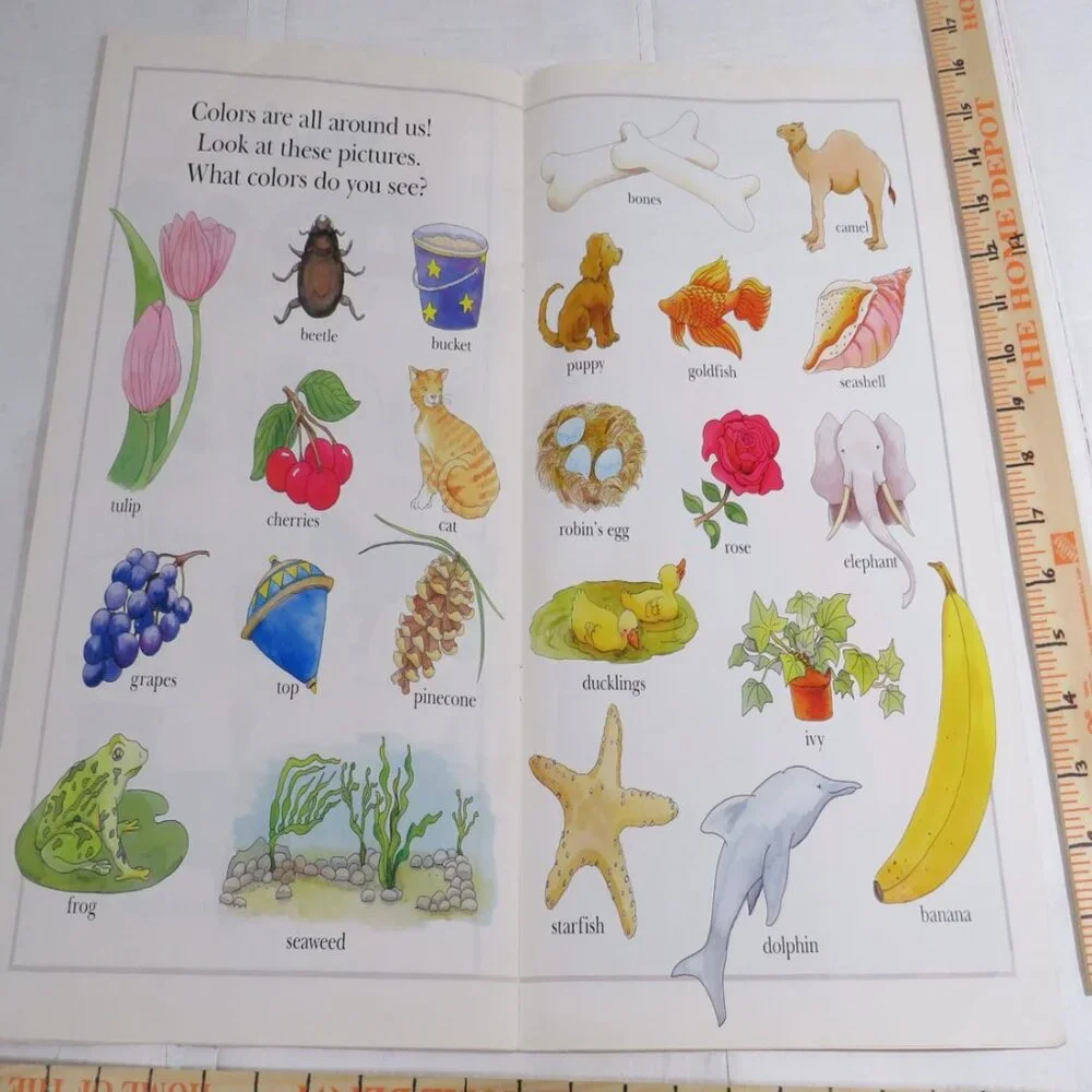 Wonders of Learning wonders learning