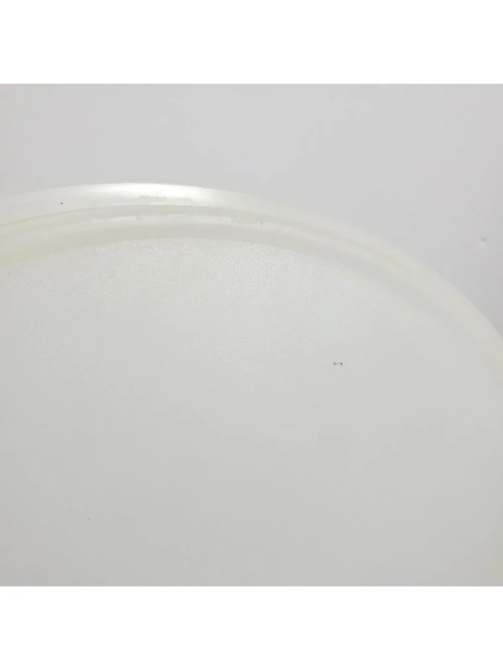 Tupperware replacement lid