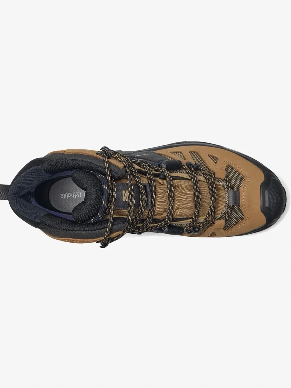 Salomon 🦋salomon quest