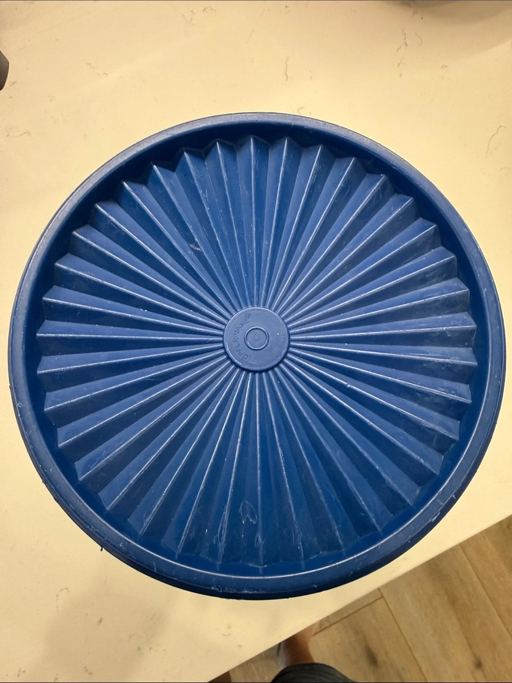 Tupperware durable blue