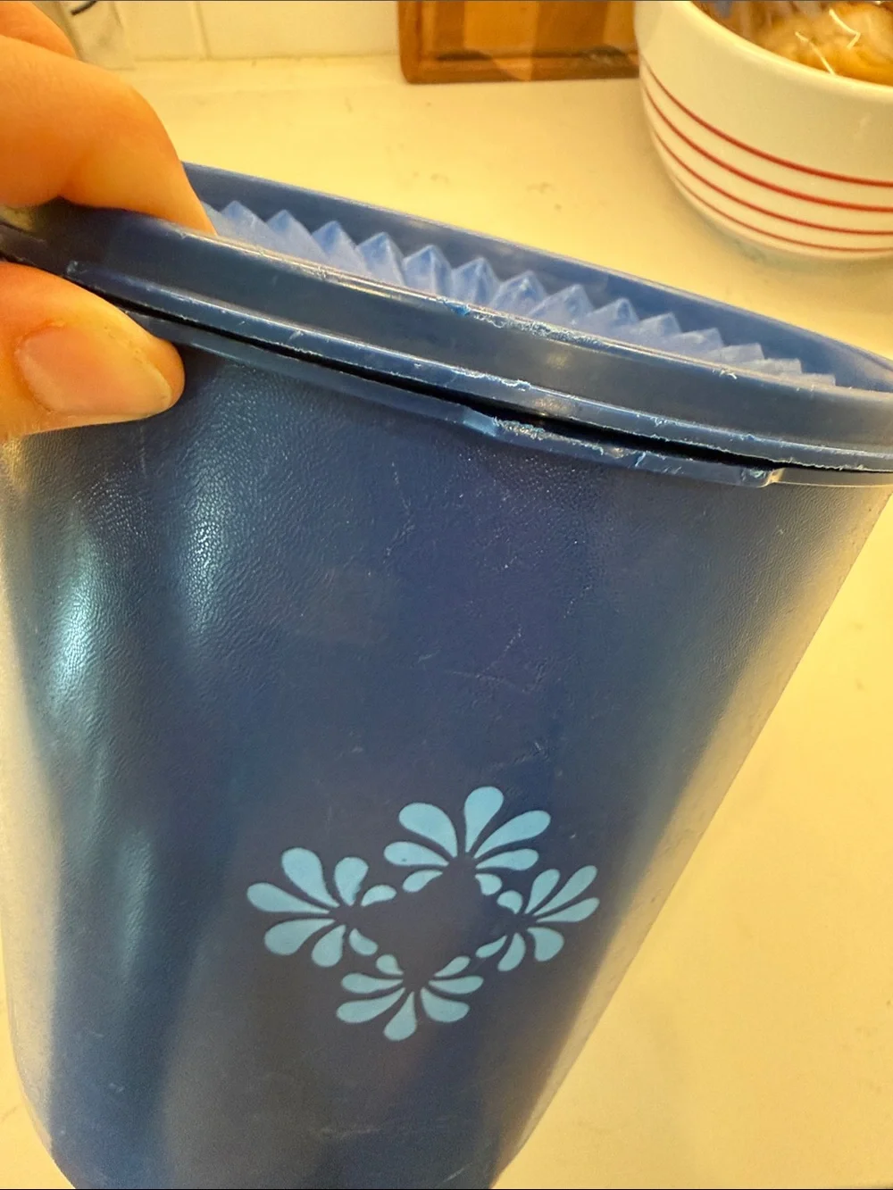 Tupperware durable blue