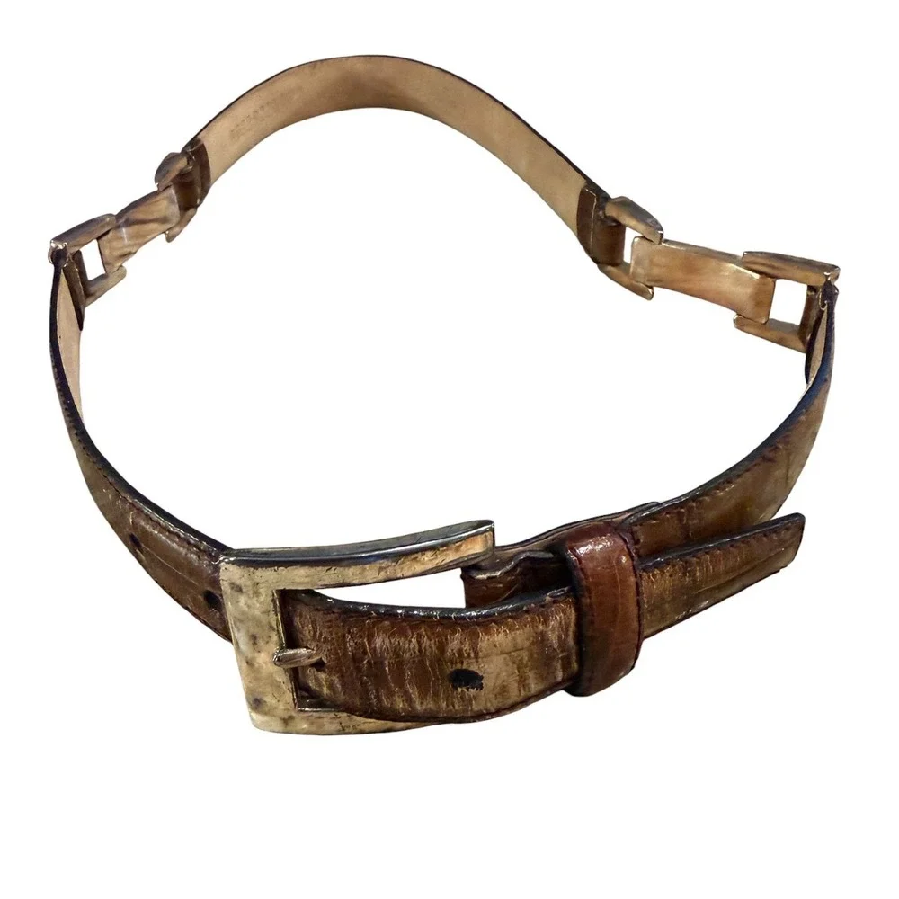 Fossil this belt