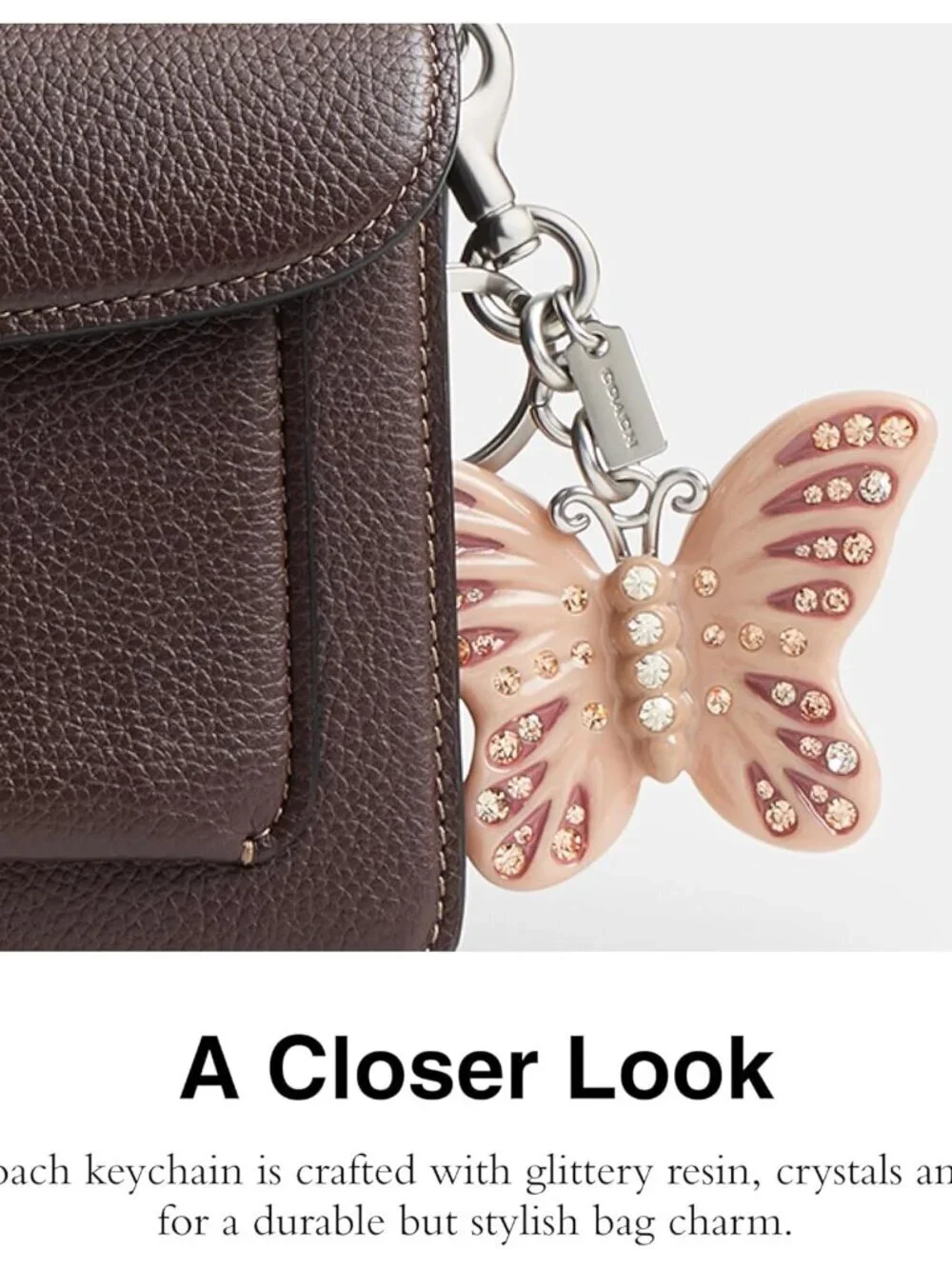 Coach whimsical butterfly