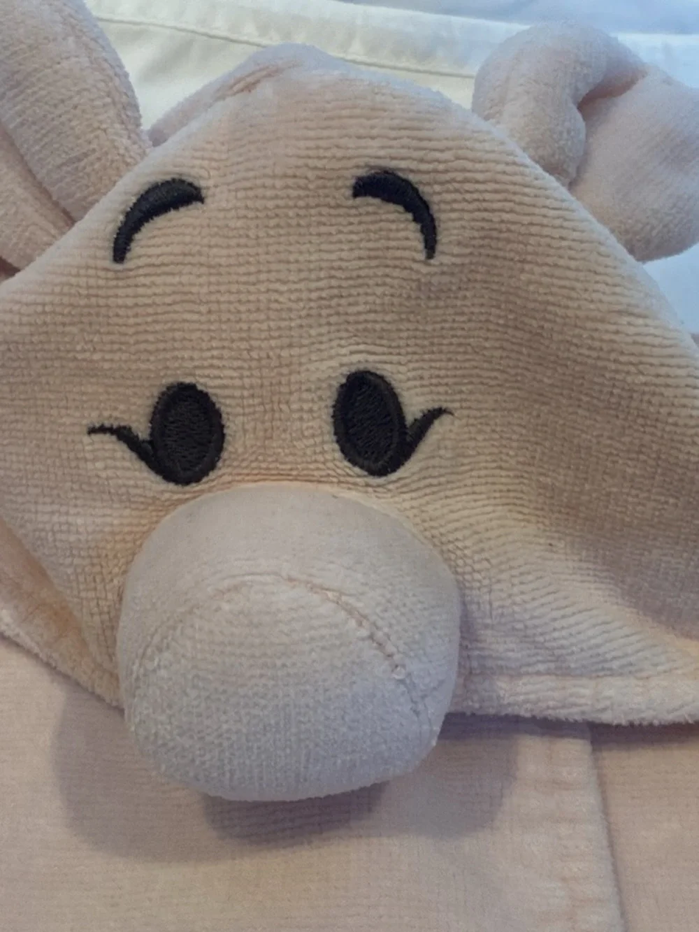 Pottery Barn Kids soft hooded