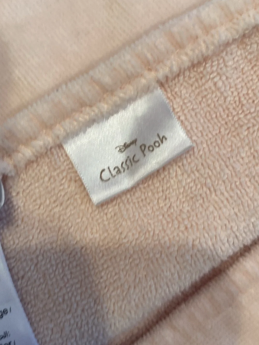 Pottery Barn Kids soft hooded