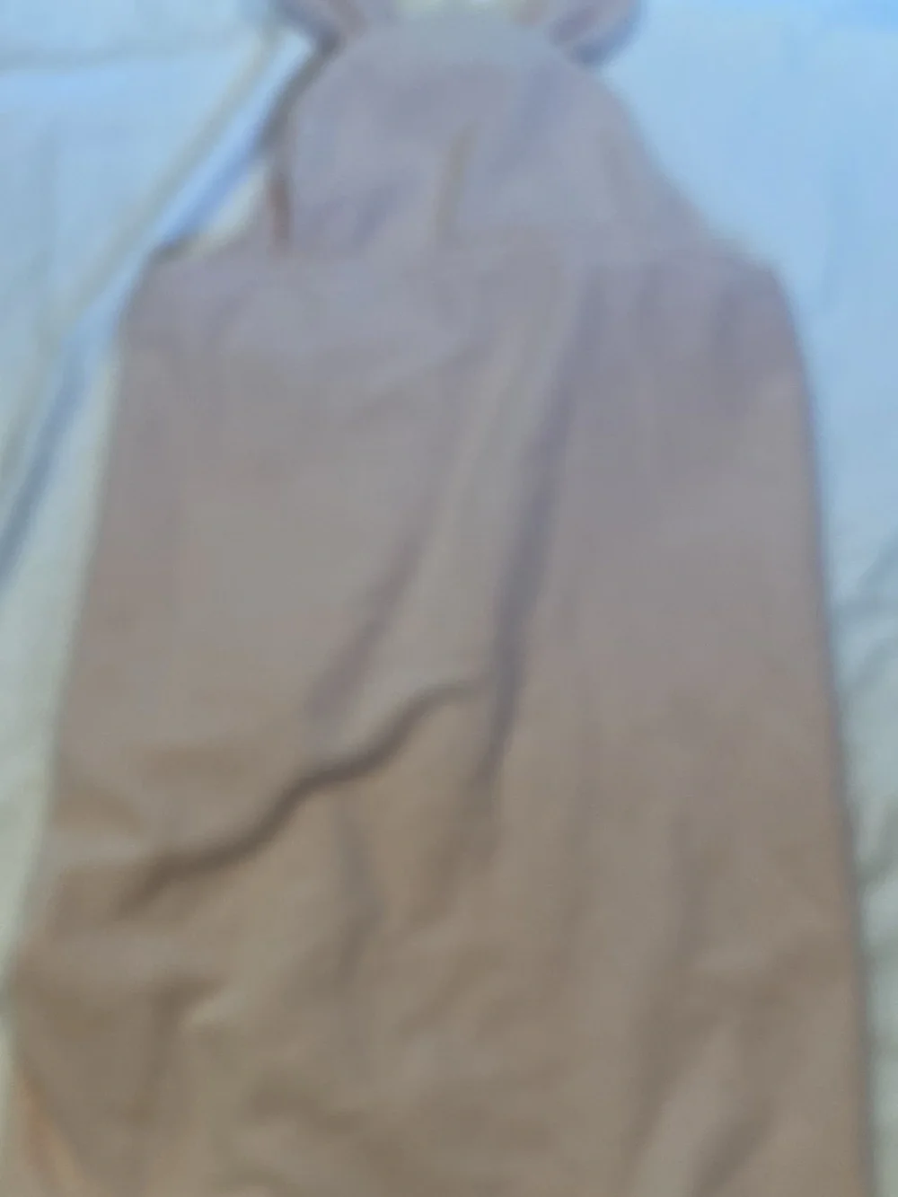 Pottery Barn Kids soft hooded