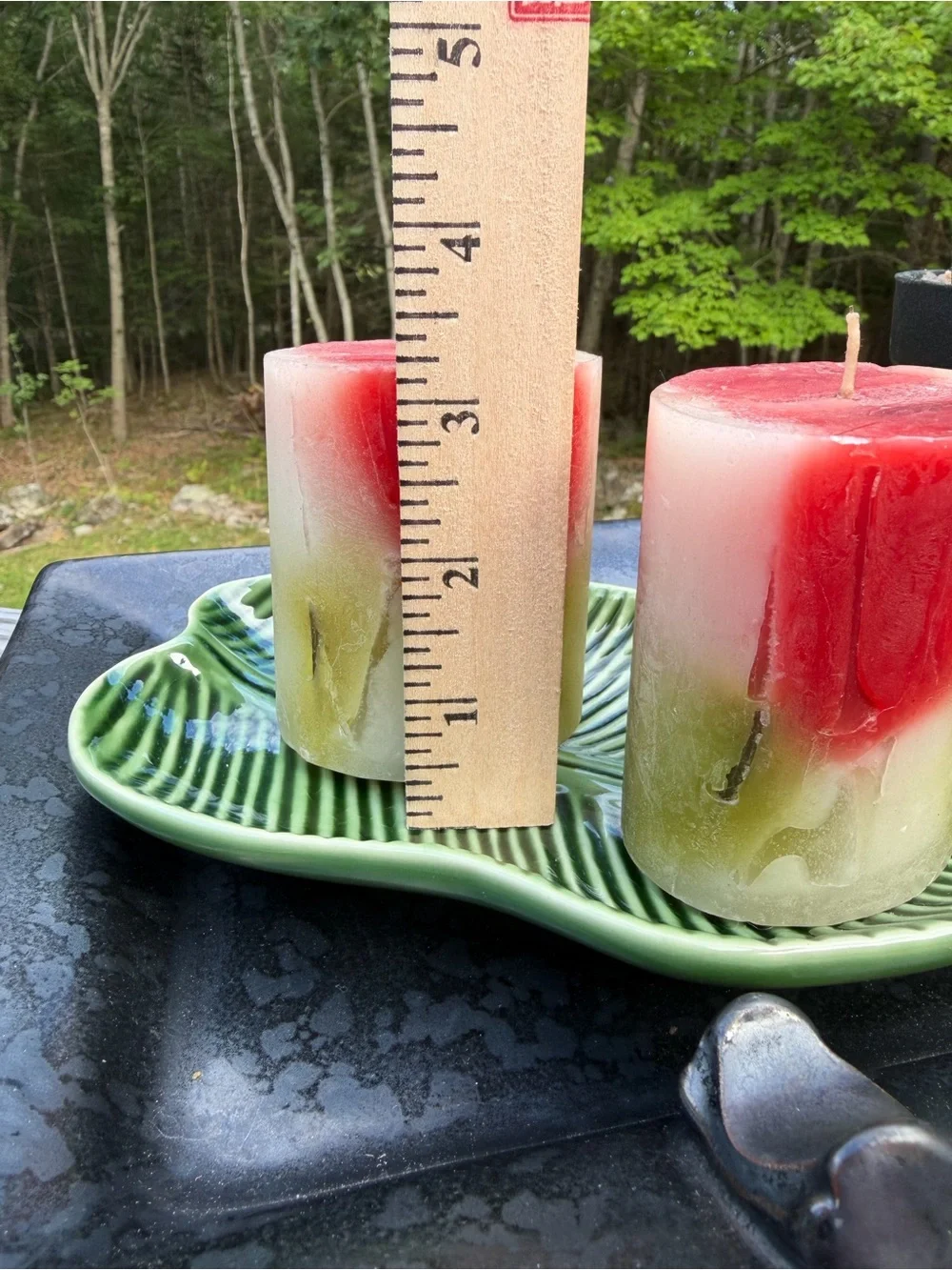Nature-Inspired Candle & Cactus Vignette