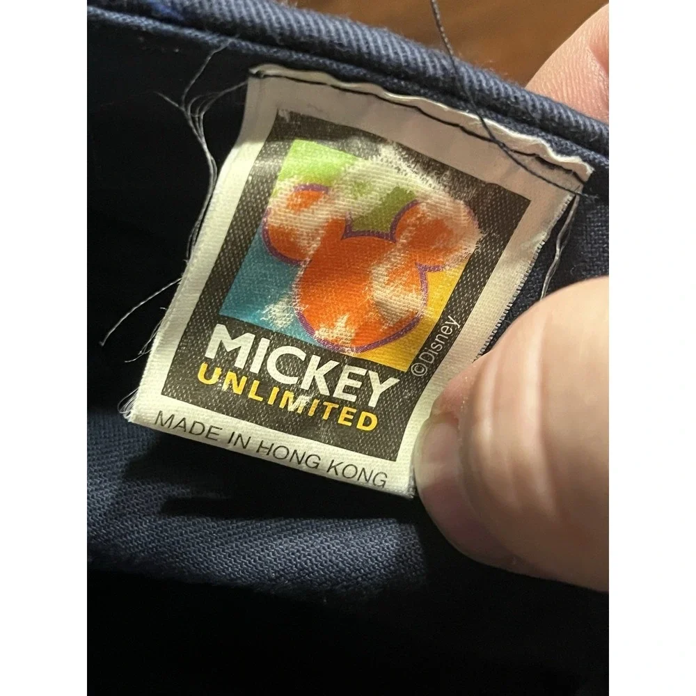 Disney this fantastic