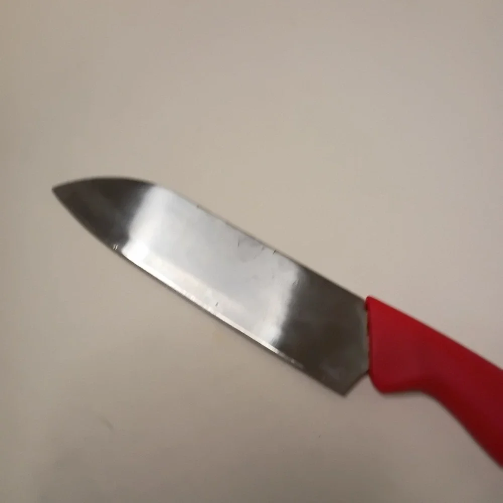 Sunbeam santoku knife