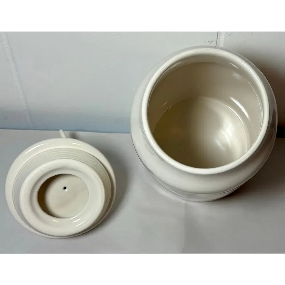 Rae Dunn this canister