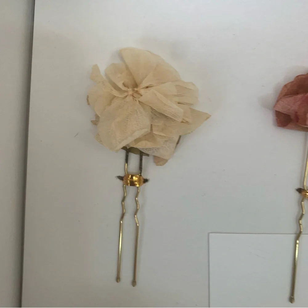 BHLDN daphne preserved