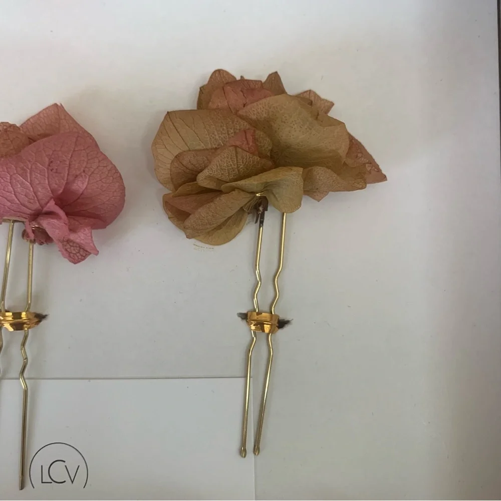 BHLDN daphne preserved