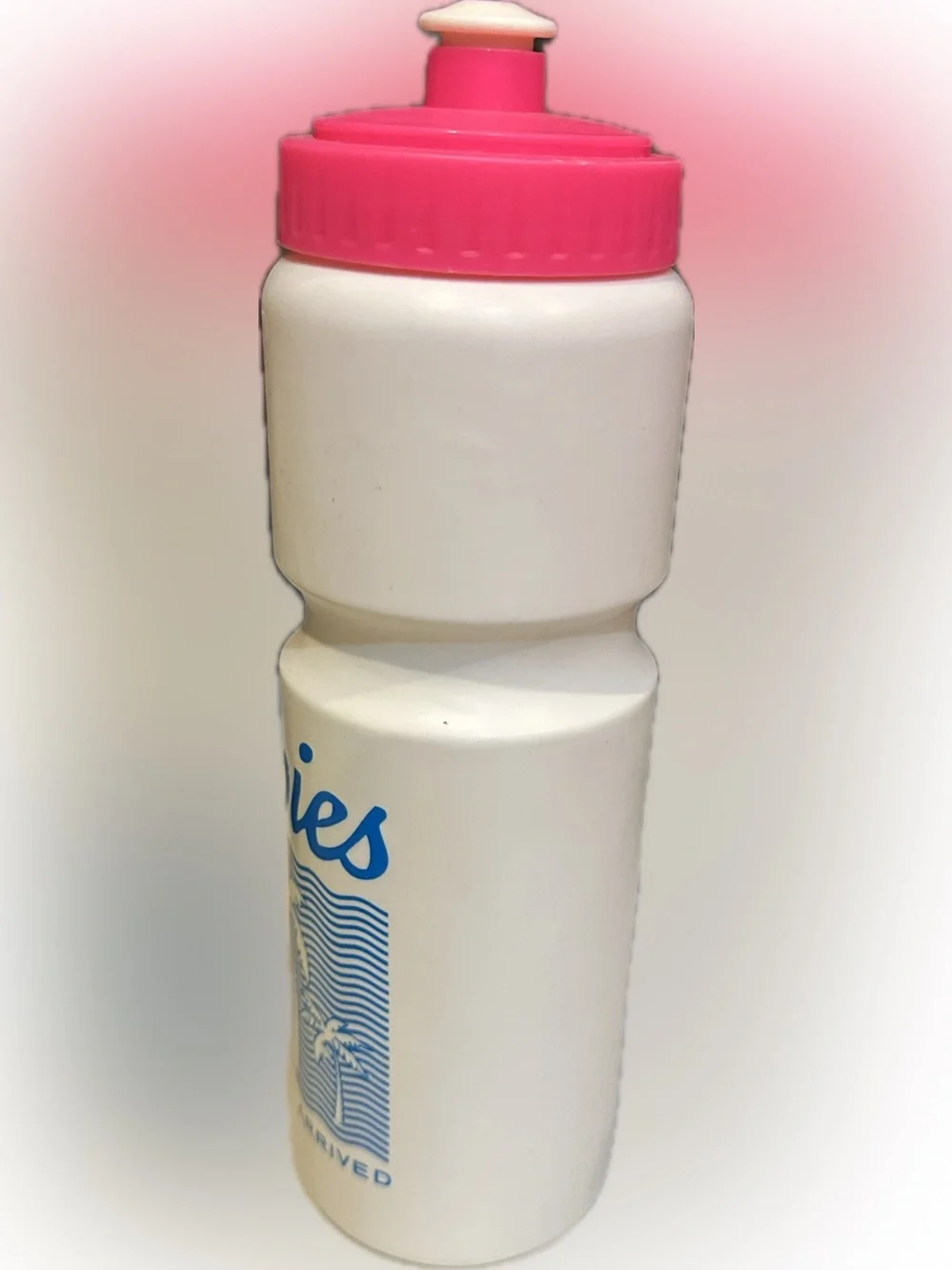 chubbies water bottle
