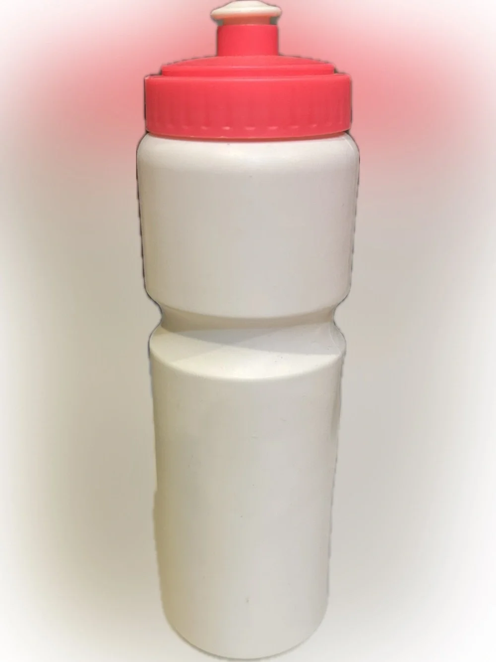 chubbies water bottle