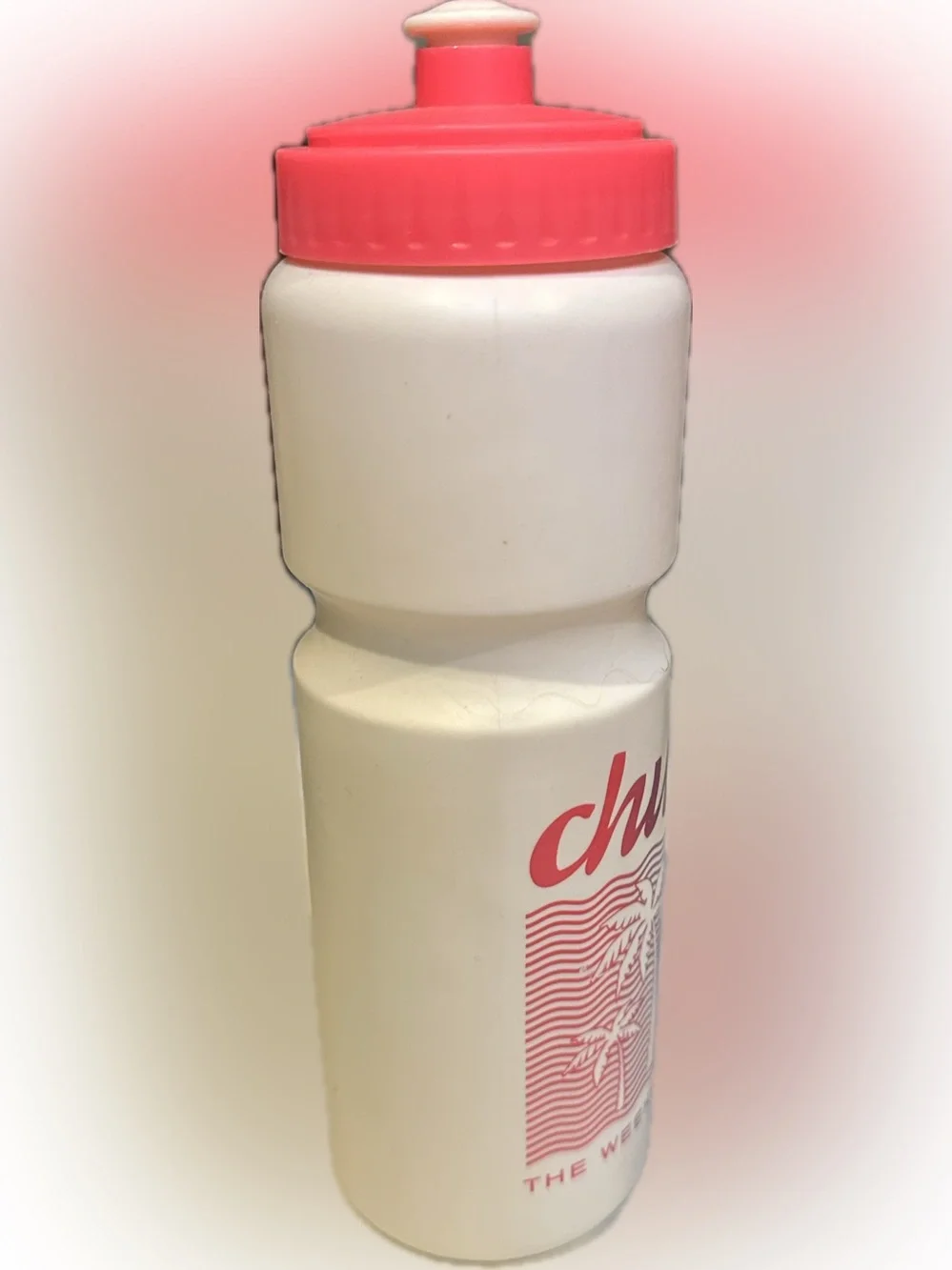 chubbies water bottle
