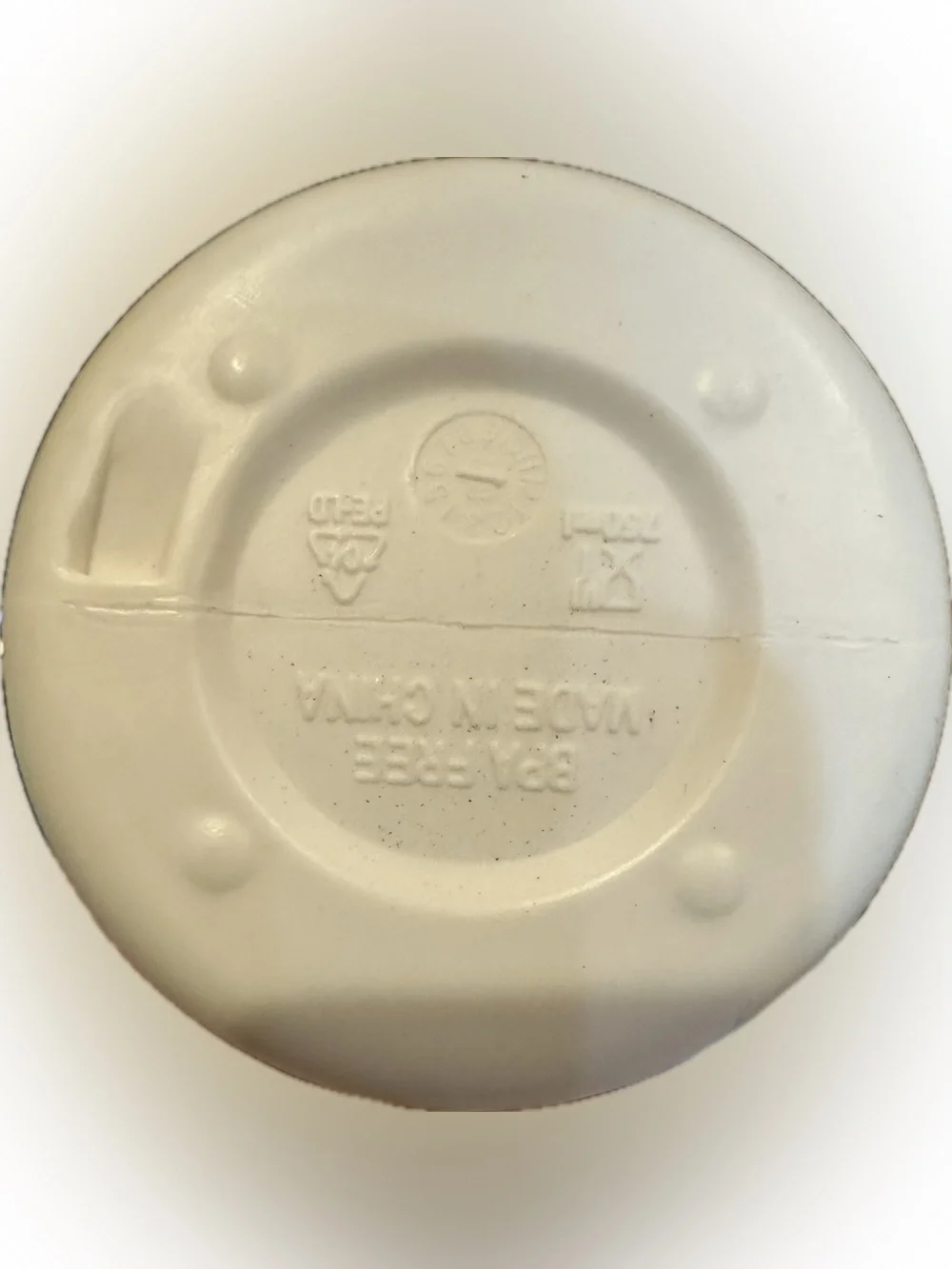 chubbies water bottle