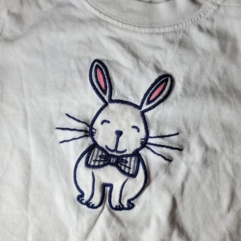 Gymboree embroidered baby