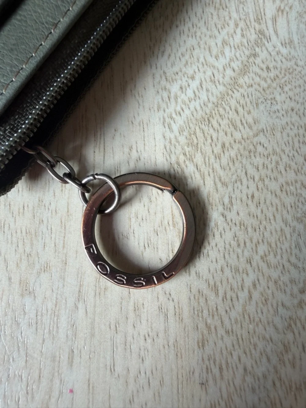 Fossil super cute