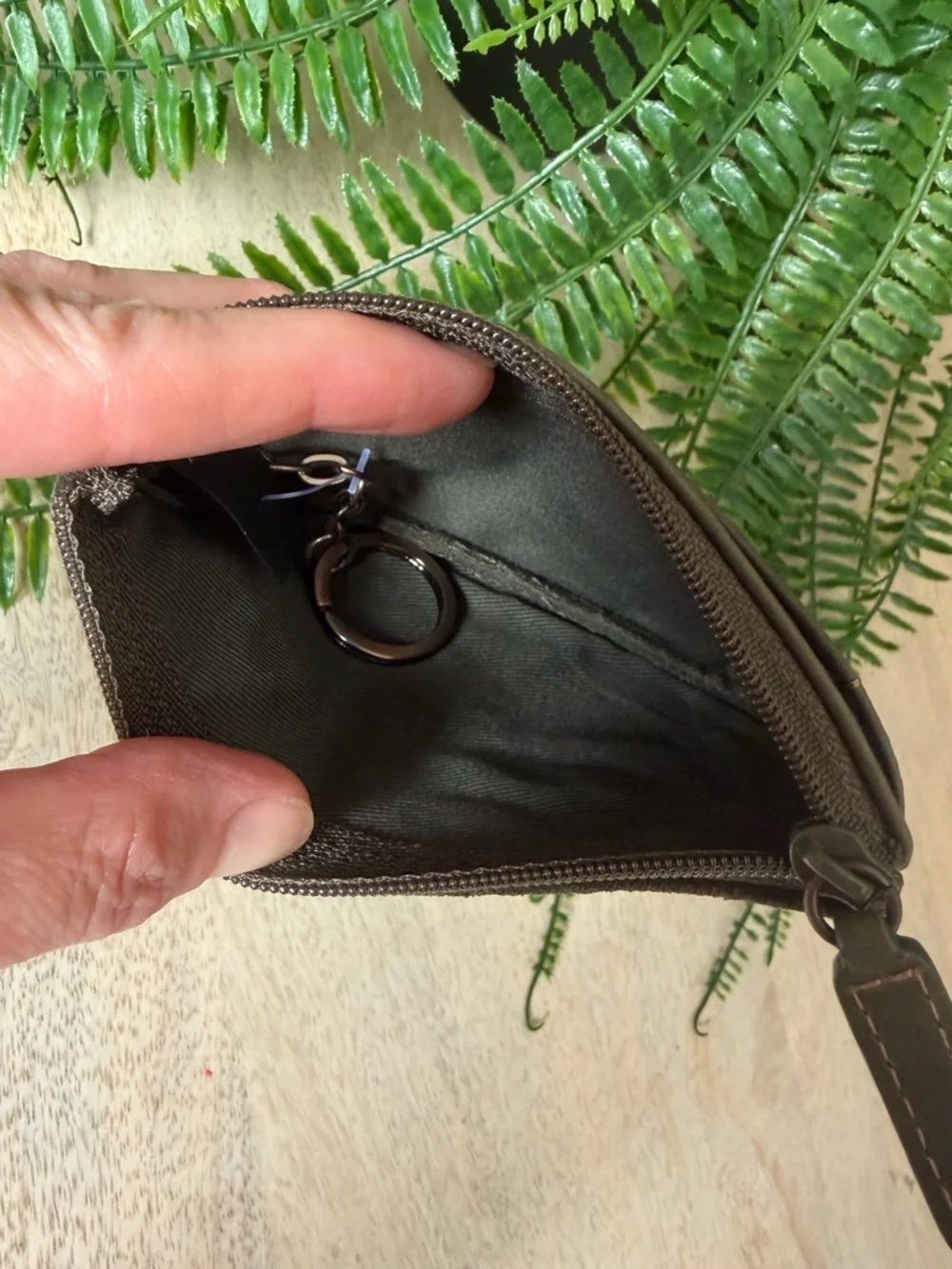 Fossil super cute