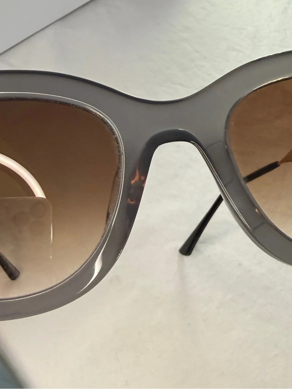 THIERRY LASRY bold cat