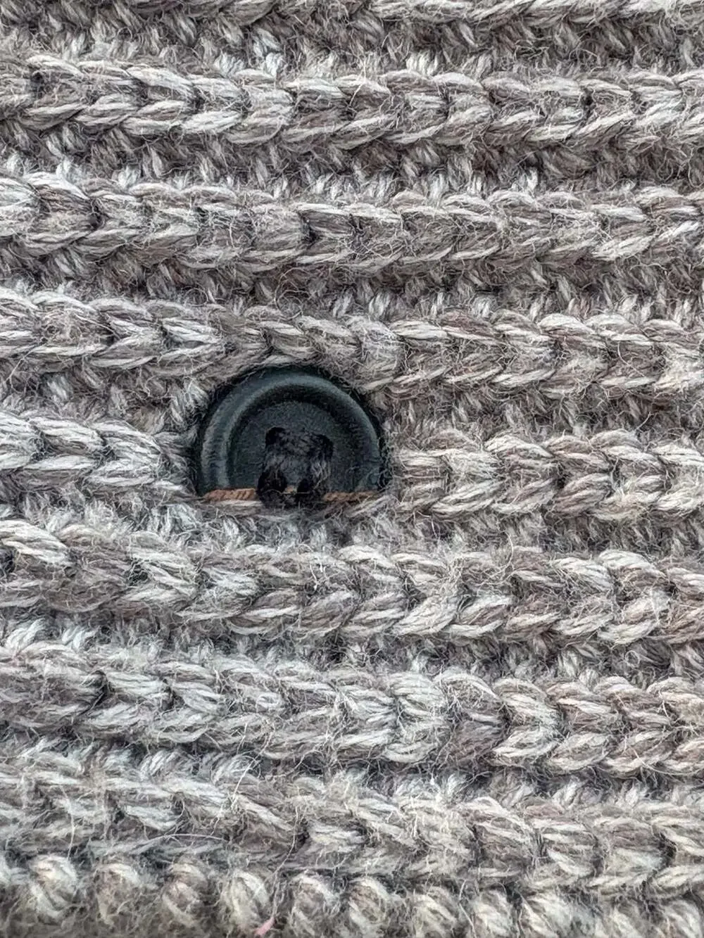 UGG classic cardy
