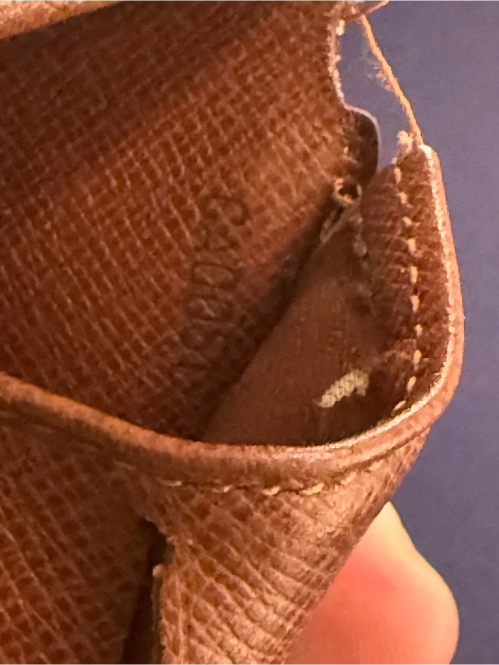 Louis Vuitton authentic louis