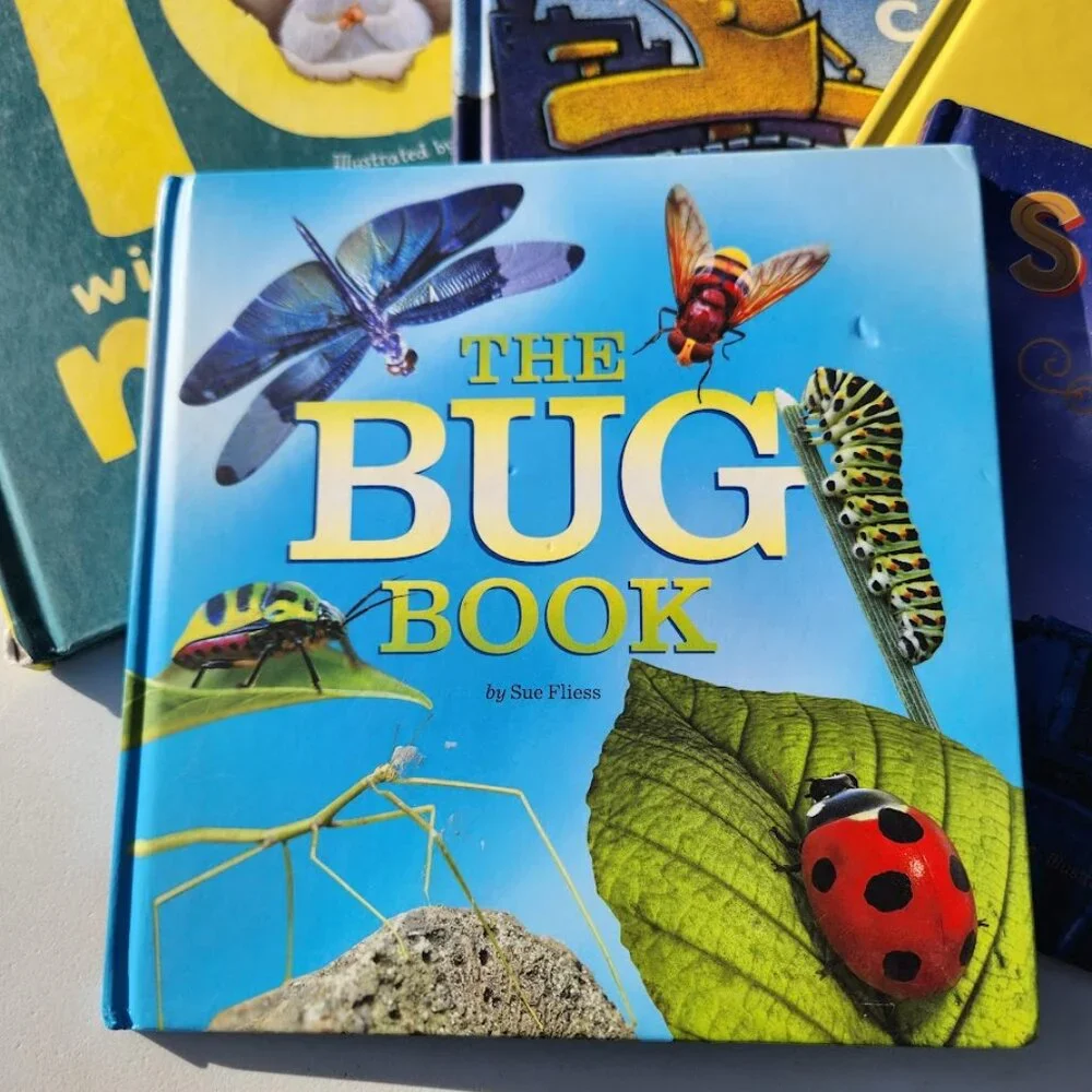 Scholastic children books