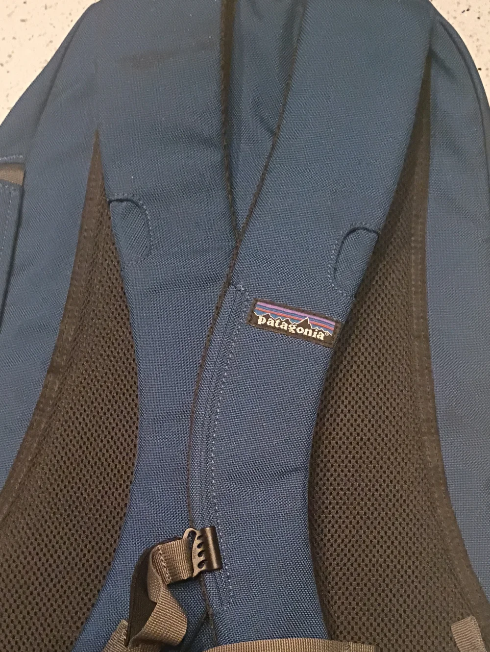Patagonia durable backpack