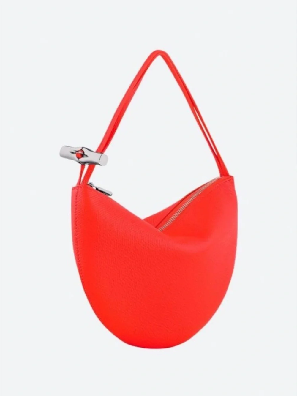 Longchamp new dust