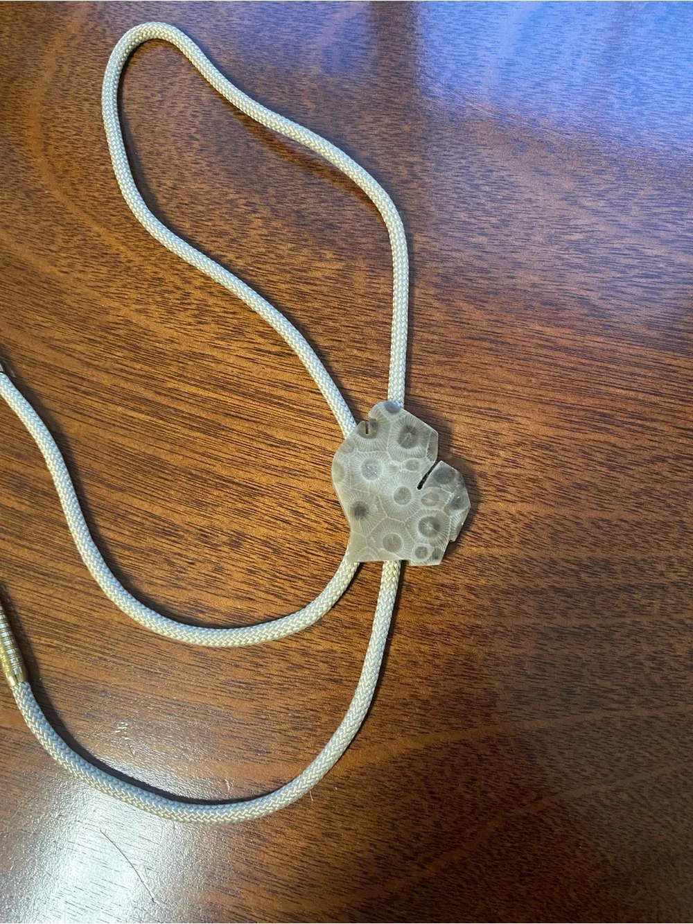 Source Unknown petoskey polished