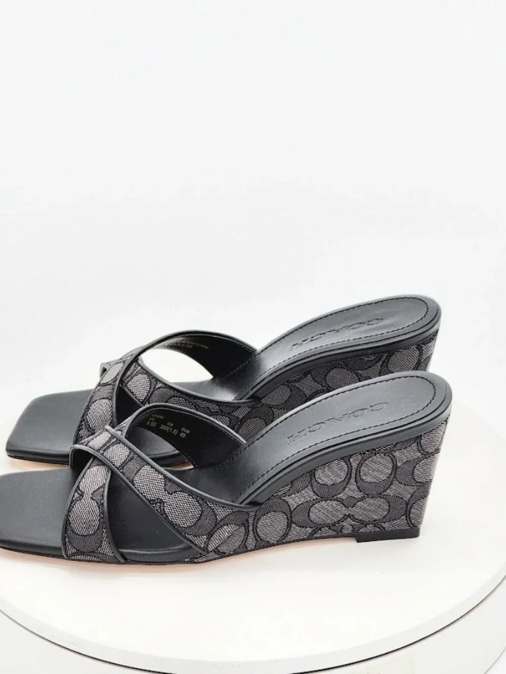 Coach stylish signature