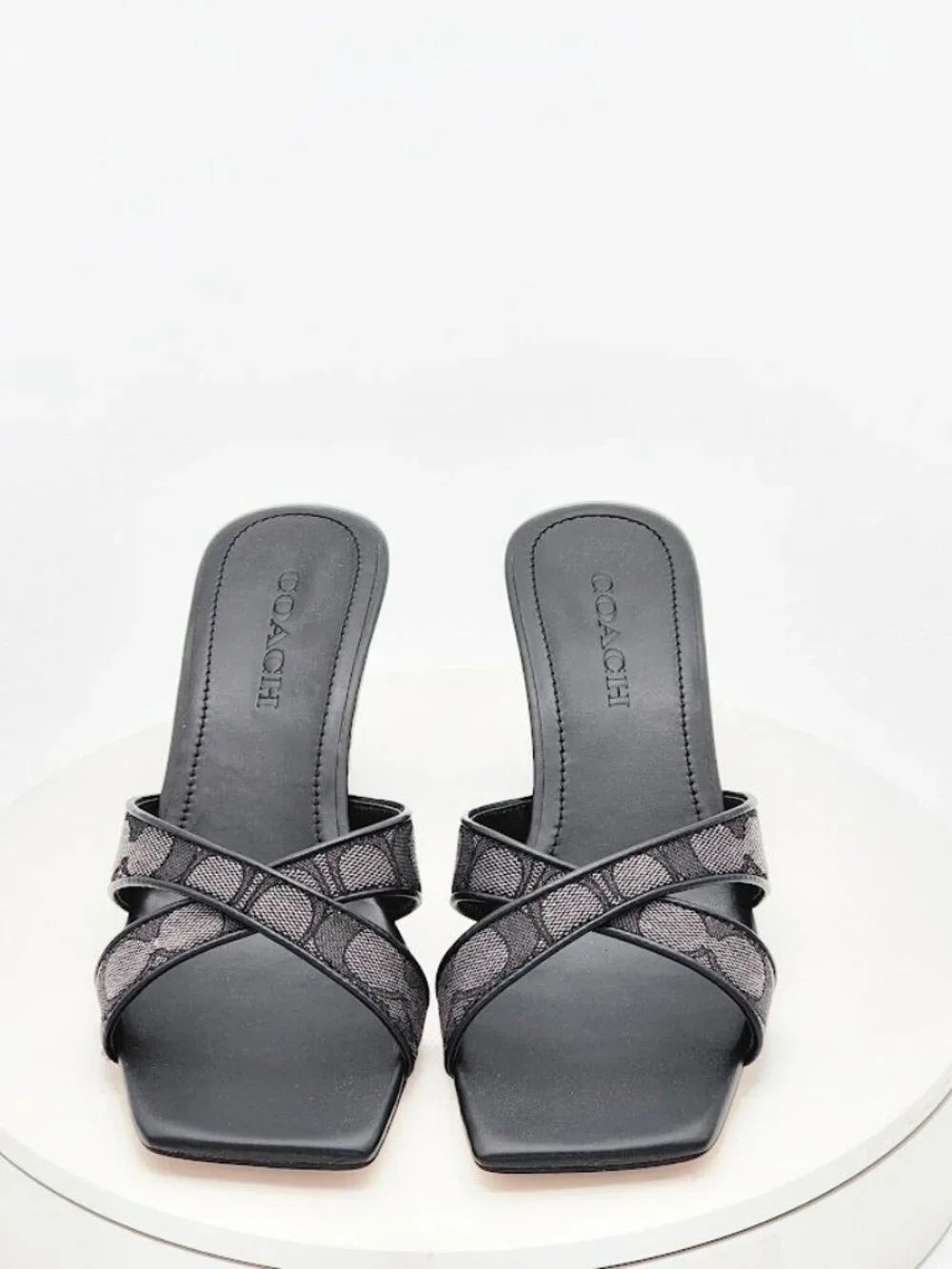 Coach stylish signature