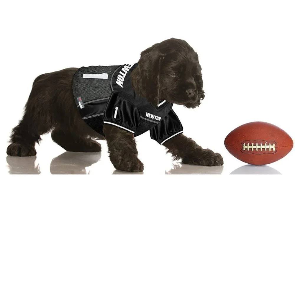 NFL new nwt