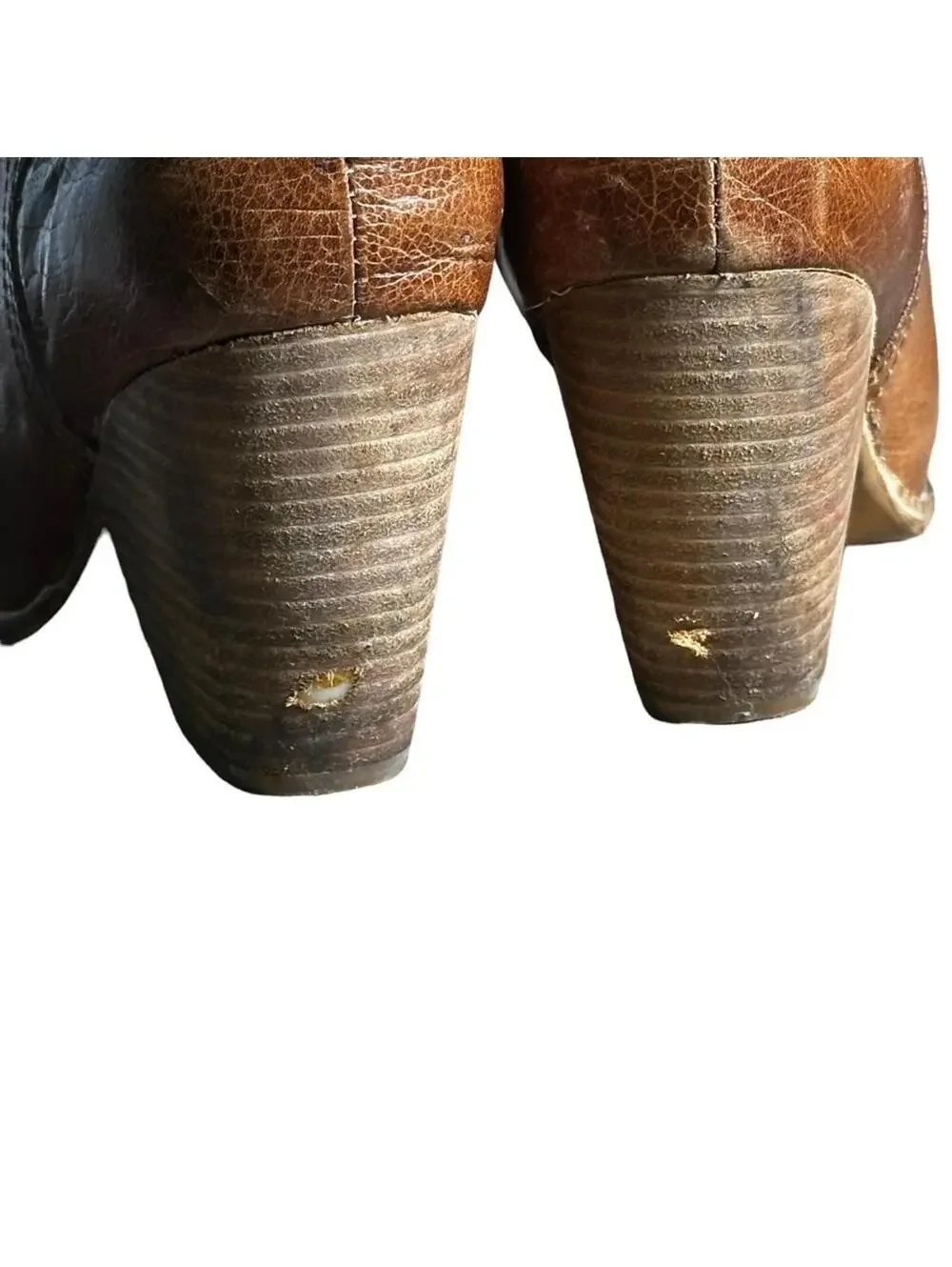 Jeffrey Campbell elevate your