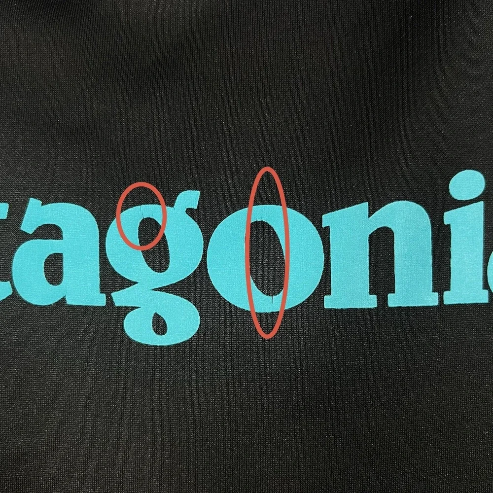 Patagonia boys graphic