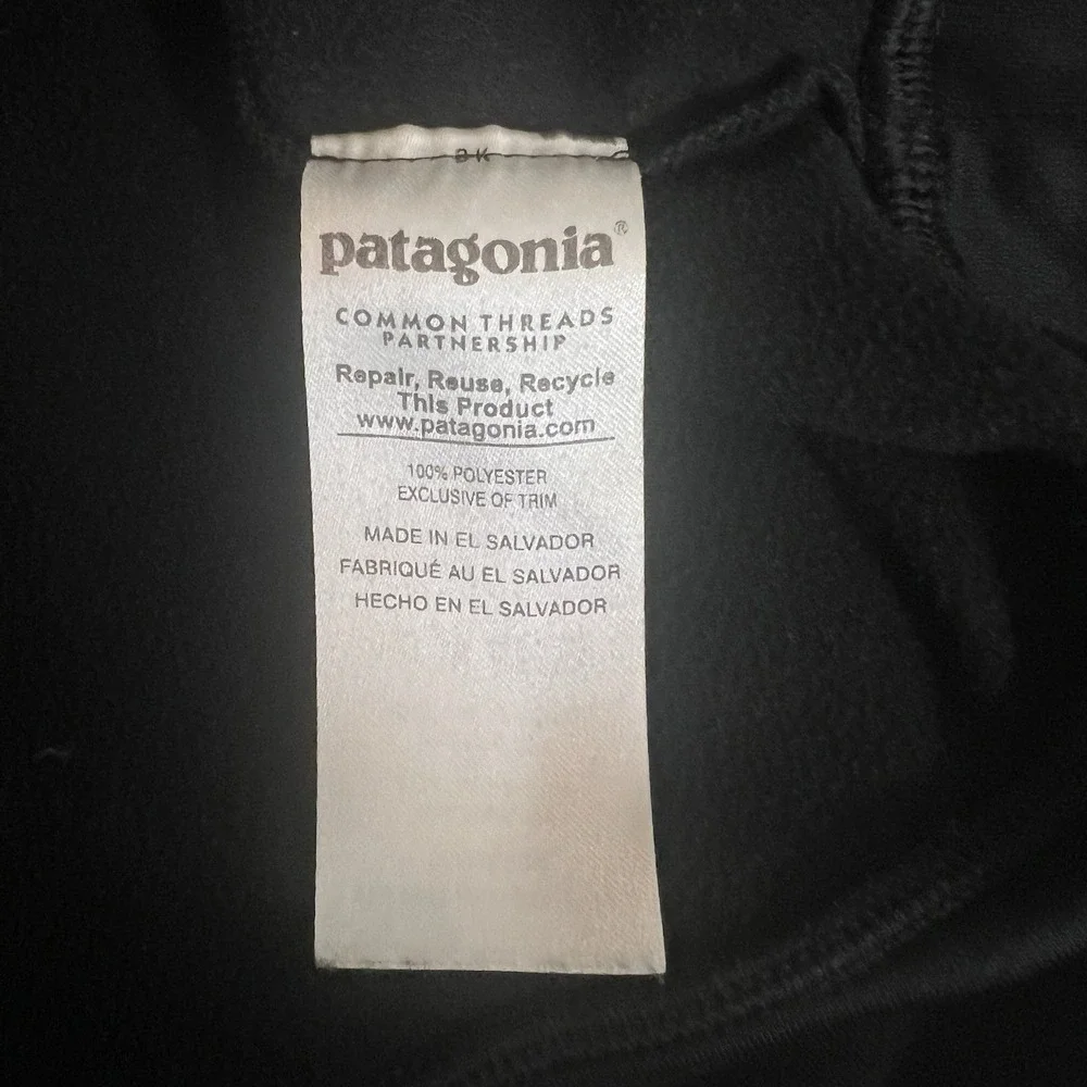 Patagonia boys graphic