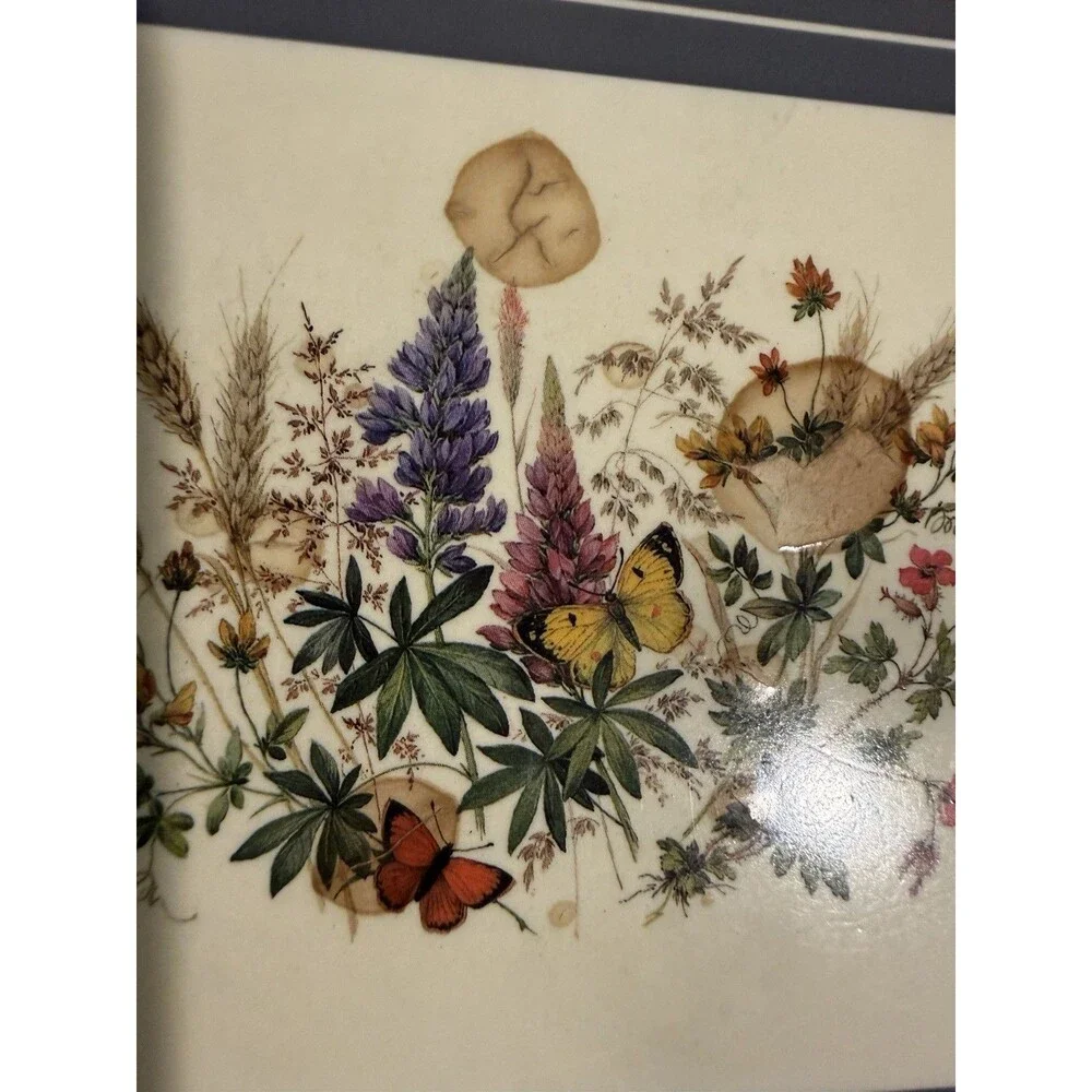 Pimpernel up sale